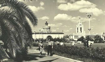 и пальма в Москве, в открытом грунте. Круто
