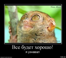 Прикольные и интересные картинки