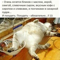 Прикольные и интересные картинки