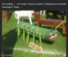 Прикольные и интересные картинки