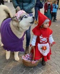 У меня мимиметр перегорел)))