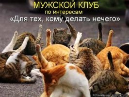 И не только