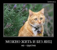 Прикольные и интересные картинки