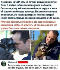 Ну и баран, такие собакены живут примерно столько лет, продлил жизнь ещё максимум на год, профакал все деньги. А пёс все равно умрет от старости.