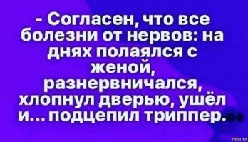 Прикольные и смешные картинки