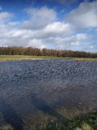 У нас весна уже месяц назад наступила, несмотря на все бури :) но я  слишком рано решил , что все прогрелось и пора устраивать прогулки по холмам. Теперь болею =_=