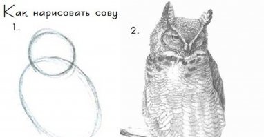 Корзинки с курицей и картофелем