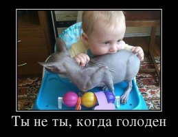 20 забавных хвостатых, которые решились на беспощадный "кусь"