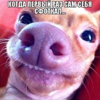 15 доказательств тому, что каждому приюту для животных нужен хороший фотограф