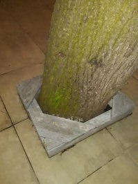 Ну лучше уж хоть плиткой вразнобой, чем вот так.