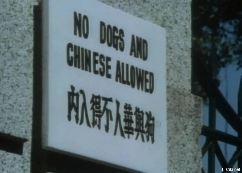 Взаимоотношения японцев с китайцами хорошо в фильме "Кулак ярости" с Брюсом Ли показаны. Кстати, действие фильма происходит задолго до нанкинской резни. (Надпись на табличке "Вход собакам и китайцам запрещен").