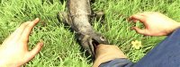 Far Cry 3 вспомнился)