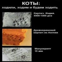 Прикольные и смешные картинки