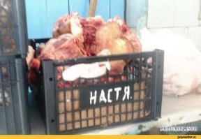 Чернуха в картинках