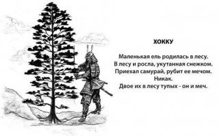 Прикольные и смешные картинки