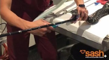 Помню, гастрит был, тож эндоскопию делали. Неприятная процедура.