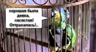 Альтернативно одарённые люди без чувства страха