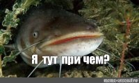 Очень грустный пост: переломный момент в деле грамотности уже настал
