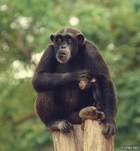 Назван лучший в мире пляж для нудистов