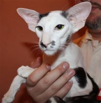 та ну нах ? счас кого только не выводят