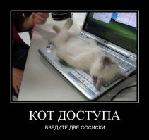 Прикольные и интересные картинки