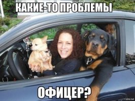 Прикольные и интересные картинки