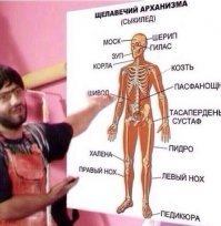 Крупнейшие неразгаданные тайны человеческого тела