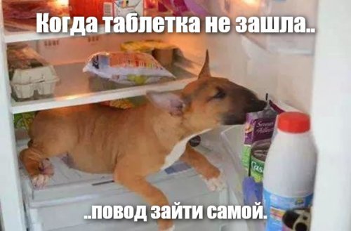 Только что наловил