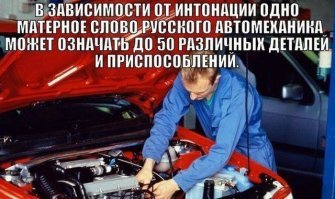 Смешные картинки из соц сетей