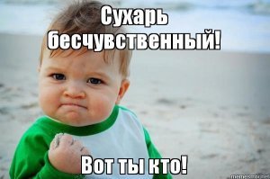 В сети набирает обороты обсуждение странного существа: кто это, кот или собака?