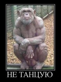 Новые прикольные демотиваторы по-русски