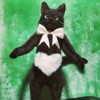 Сумки для кошкофилов