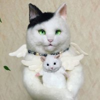 Сумки для кошкофилов