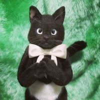Сумки для кошкофилов