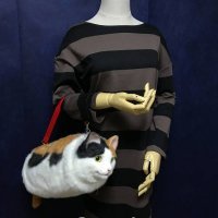 Сумки для кошкофилов