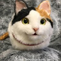 Сумки для кошкофилов