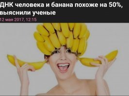 В сети набирает обороты обсуждение странного существа: кто это, кот или собака?