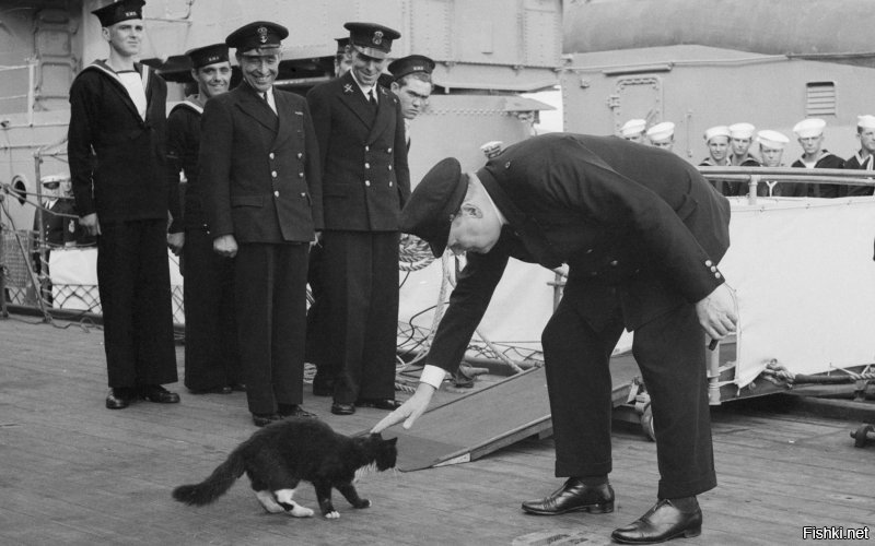 Август 1941 года   Черчилль гладит корабельного кота Блэки на HMS Prince of Wales. Блэки плавал через Атлантику с Черчиллем, который в свою очередь секретно посещал Рузвельта, чтобы договариваться по Атлантической хартии. Кот выжил при потоплении Prince of Wales японцами, и был переправлен в Сингапур, где его следы затерялись.
 На фото Черчилль уже сходит с линкора, и задержался, чтобы попрощаться.
