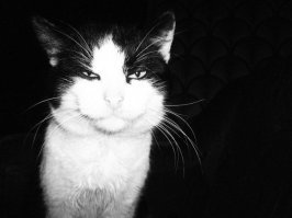 Прикольные и интересные картинки