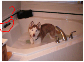 А песель мне кажется жену спасает от несчастного случая, который любимый муж ей заботливо устраивает