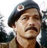 Не ищите здесь смысл. Здесь в основном маразм