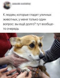 Прикольные и смешные картинки