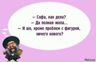 Смешные картинки из соц сетей