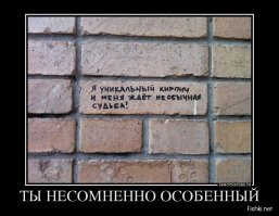 Смешные картинки из соц сетей