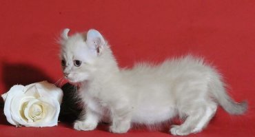 Смешные картинки из соц сетей