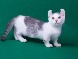 Смешные картинки из соц сетей