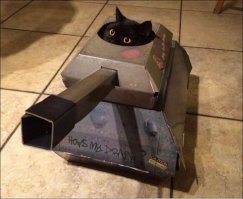 Как кошки принимали участие в войне