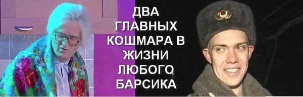 Высоко сижу - далеко гляжу:  кот сидящий на вершине электрического столба