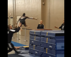 вы серьезно? да она сама бы спокойно на 2 ноги приземлилась  на маты,