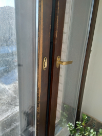 попугайчик чуть больше воробья. Уехал на неделю, а у птички клюв зачесался.